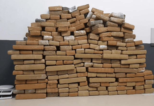 Homem é encontrado com 150 kg de maconha em Florianópolis após polícia sentir 'cheiro forte' | Reprodução/PMRV