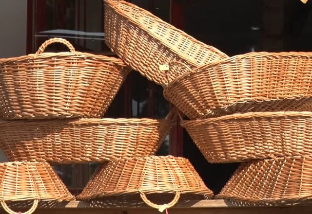 Serra Catarinense produz 90% do vime do Brasil