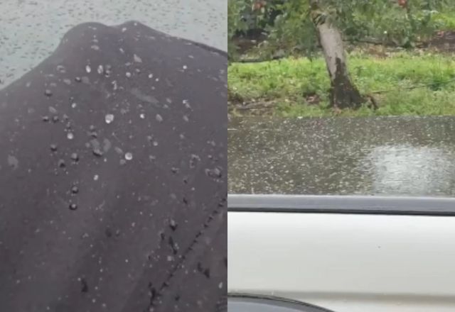 Chuva congelada encanta moradores na Serra catarinense | Foto: Reprodução/Mycchel Legnaghi