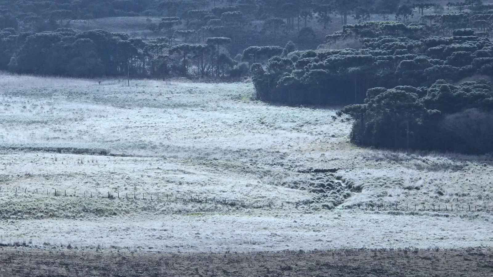 São Joaquim, na Serra Catarinense, registra o 7 de Setembro mais frio em 72 anos | Foto: Mycchel Legnaghi/@saojoaquimonline.com.br