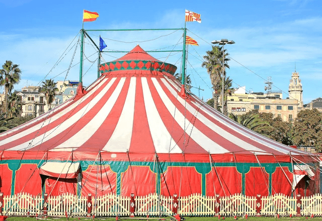 Circo passa a ser reconhecido por lei como manifestação da cultura brasileira