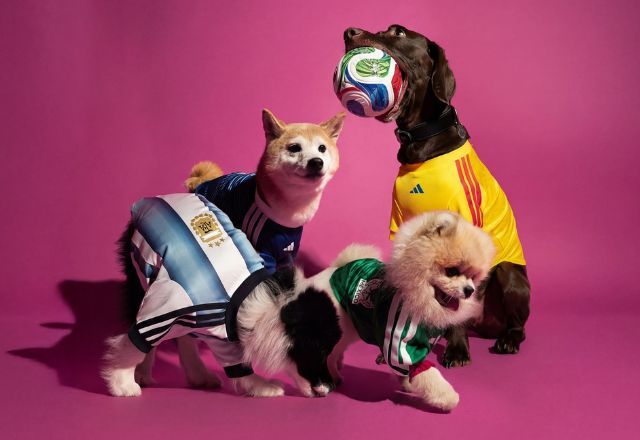 Coleção inclui camisas inspiradas nos uniformes principais de México, Colômbia, Argentina e Japão | Divulgação/Adidas