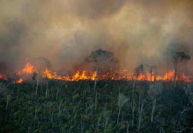 Coluna de fogo avança sobre floresta degradada em área de floresta pública não destinada em Porto Velho, Rondônia.
