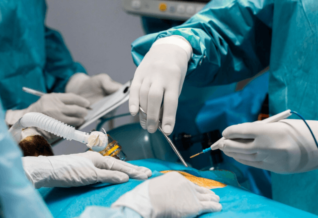 Como é feita a avaliação para transplante de órgãos? | Freepik