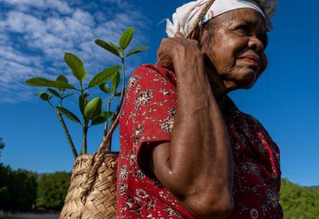 Brasil doa US$ 120 mil para vítimas de ciclone no Timor-Leste Brasil doa US$ 120 mil para vítimas de ciclone no Timor-Leste
