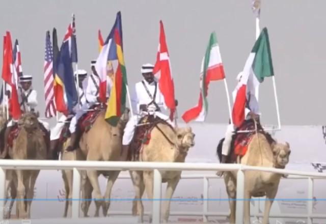 Concurso de camelos