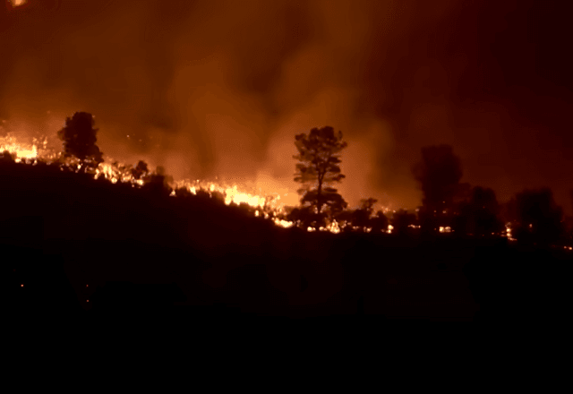 Incendio Causado Por Motosserra Deixa Um Morto Na California