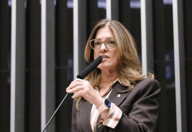 Câmara avança com projeto sobre medidas protetivas Câmara avança com projeto sobre medidas protetivas
