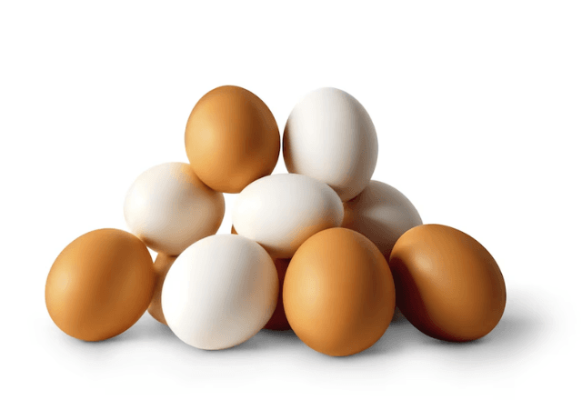 Por que as cascas dos ovos têm cores diferentes? Existe um mais saudável? Estudo traz respostas