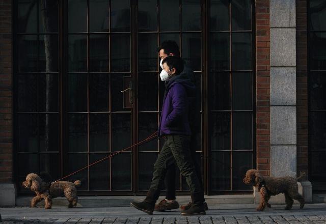 Criança anda com pai e cachorros antes de lockdown ser anunciado na cidade de Shangai,