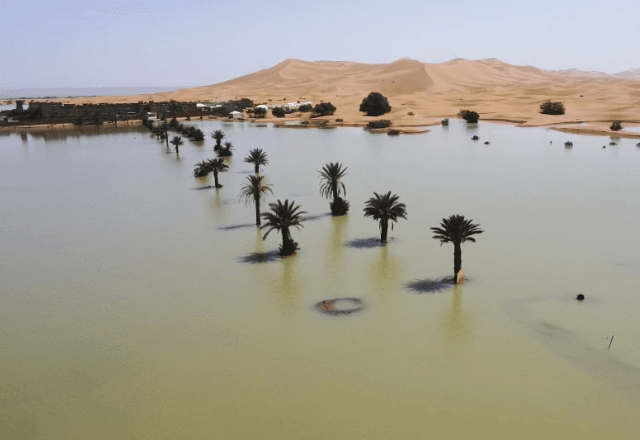 Deserto do Saara "alagado" | Associated Press