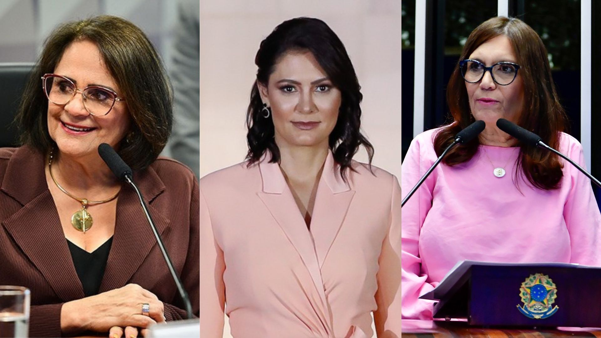 Senado terá maior bancada feminina da história do país