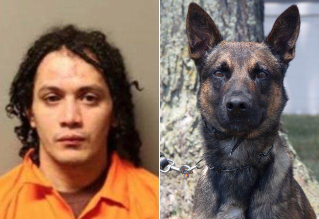 Danilo Cavalcante e o pastor-belga Malinois Yoda, que ajudou na captura do brasileiro nos EUA