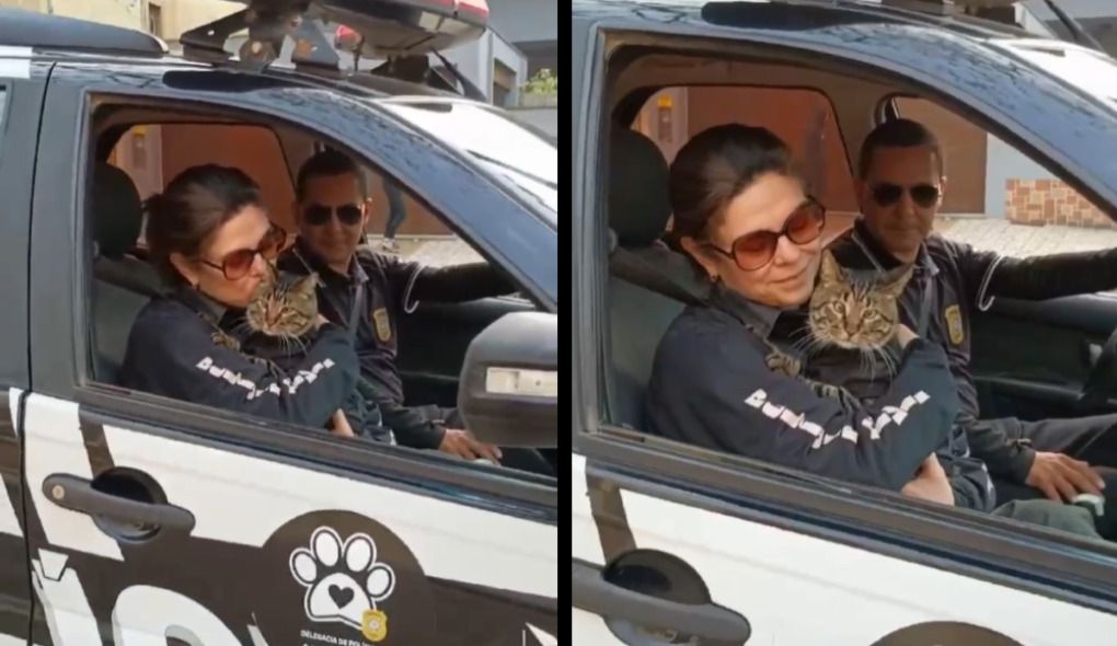 'Delegato': Em defesa dos animais, Polícia Civil desfila com felino fardado no RS | Reprodução