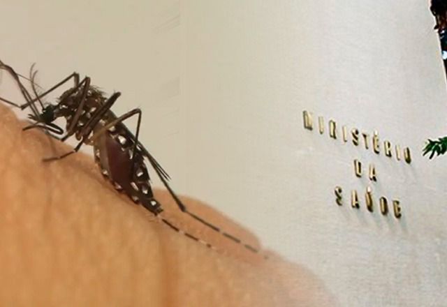 Dengue | Ministério da Saúde