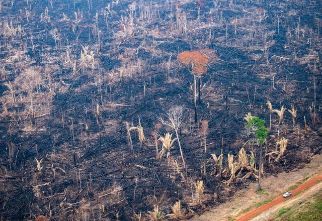 Depois de um resultado positivo em janeiro, a devastação na Amazônia voltou a crescer | Greenpeace
