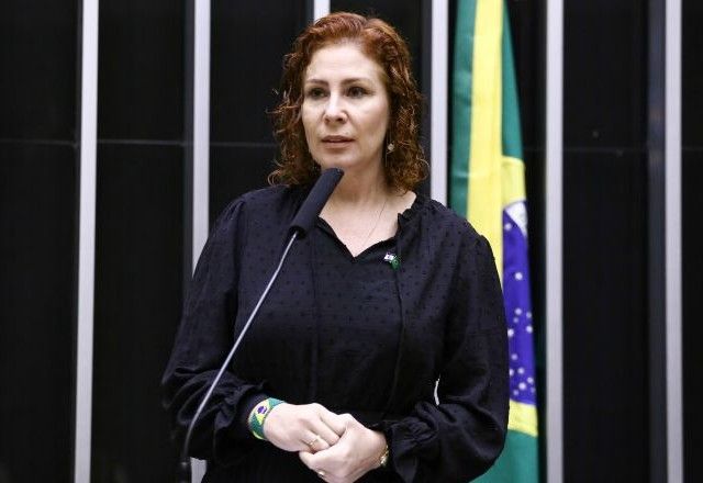 Deputada federal Carla Zambelli (PL-SP) | Divulgação/Vinicius Loures/Câmara dos Deputados