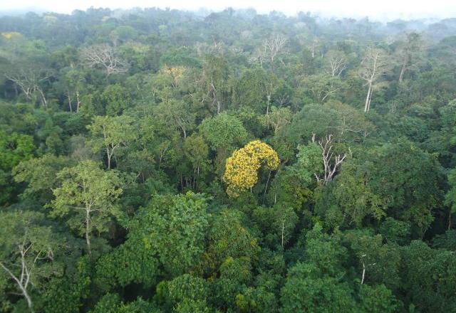 Senado aprova lei com novas regras para licenciamento ambiental