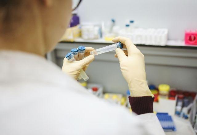 Desenvolvida há mais de dez anos, a vacina contra a dengue é feita com quatro tipos do vírus da dengue enfraquecidos | Pexels