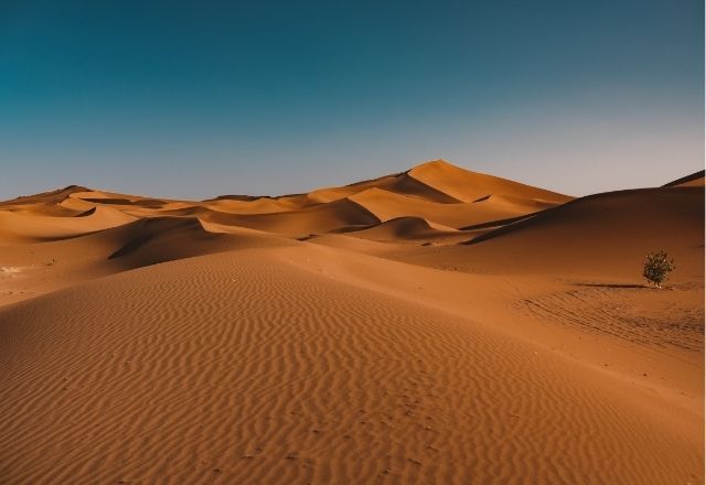 Deserto do Saara | Reprodução/Freepik