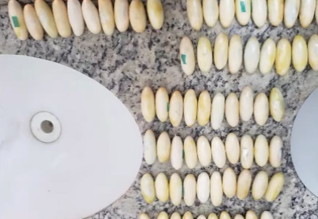 PF prende dois passageiros com 214 cápsulas de cocaína no estômago