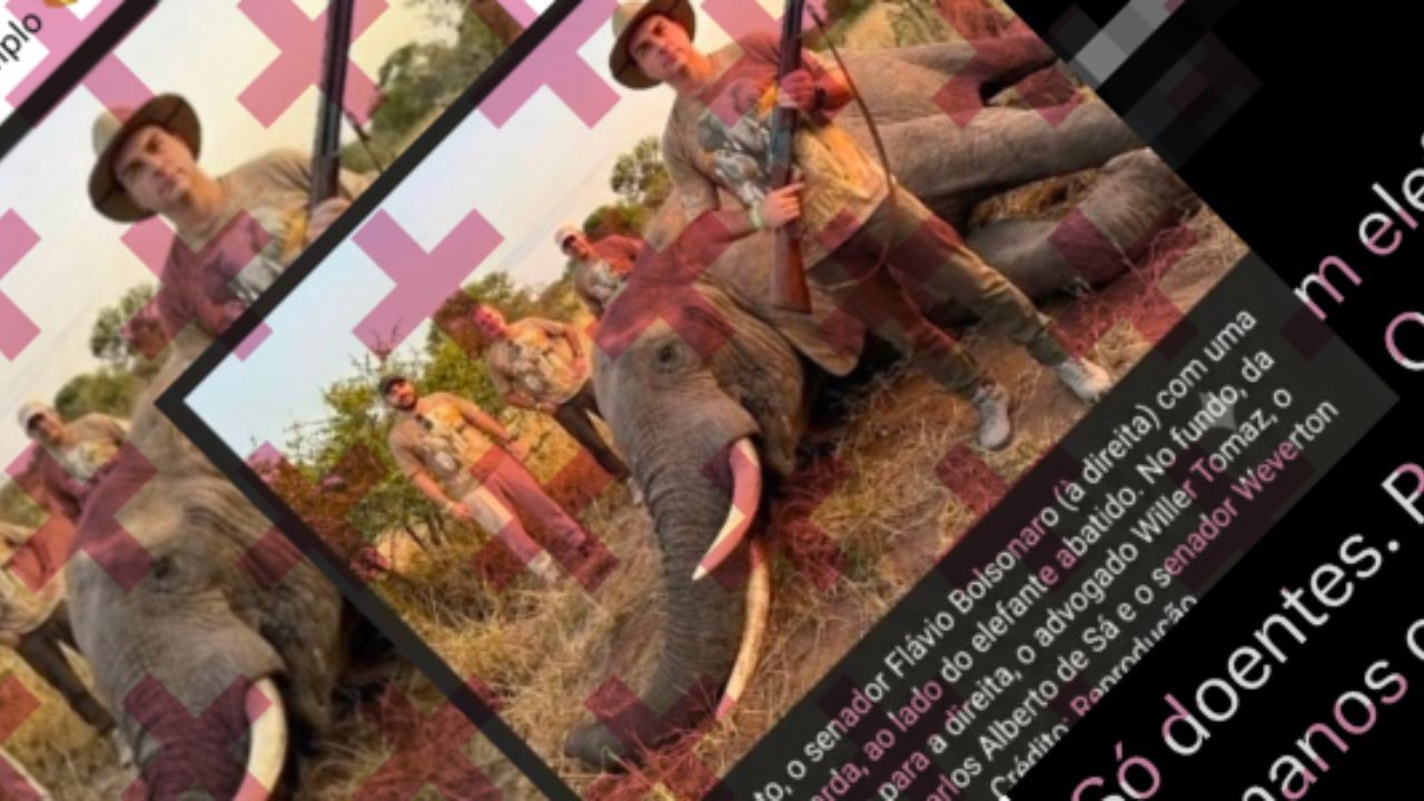 Imagem de Flávio com elefante morto foi gerada com IA