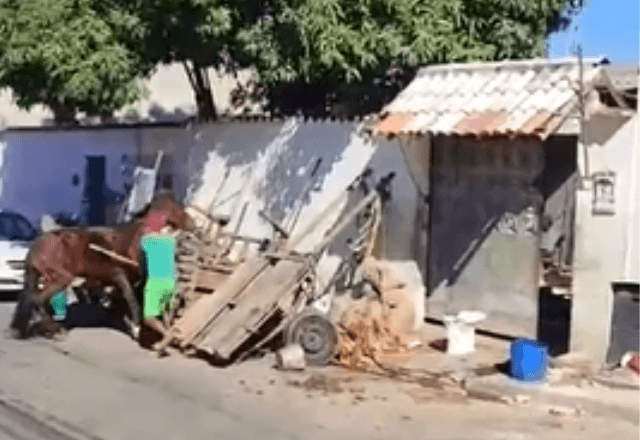 Vídeo que circula nas redes sociais mostra momento exato das agressões | Reprodução