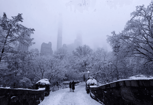 Neve no Central Park bate recorde | Reprodução