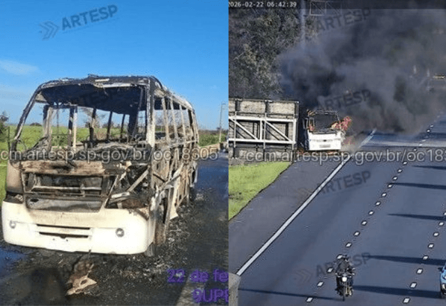 Incêndio micro-ônibus - Reprodução