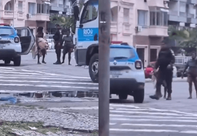 Homem em situação de rua caminha com tartaruga-marinha no Rio - Reprodução 