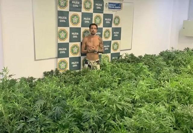 Detido com plantação de maconha