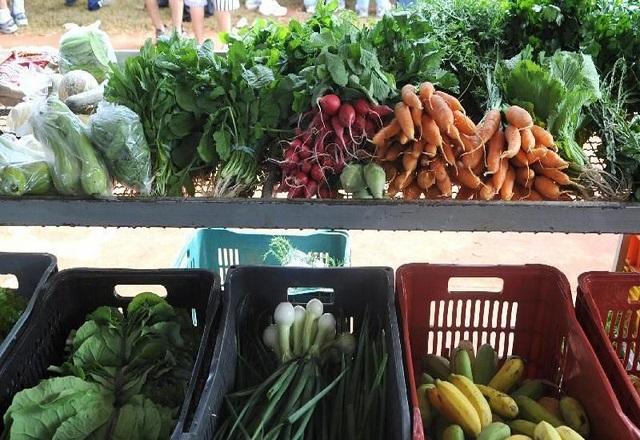 Diferentes legumes e frutas são expostos em prateleiras e caixas, em uma feira (Agência Brasil)