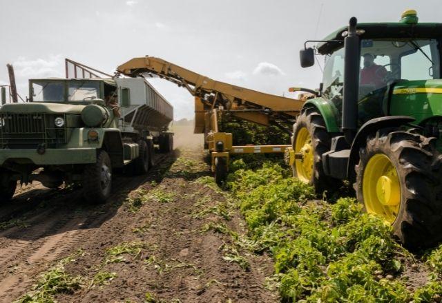 Dinheiro será aplicado no âmbito do Programa Nacional de Fortalecimento da Agricultura Familiar | Pexels