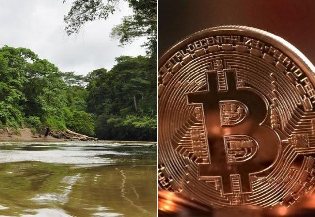 Amazônia, à esq., e representação de bitcoin, à dir., em montagem (Divulgação/Pixabay/Michael Wensch/Domínio Público)