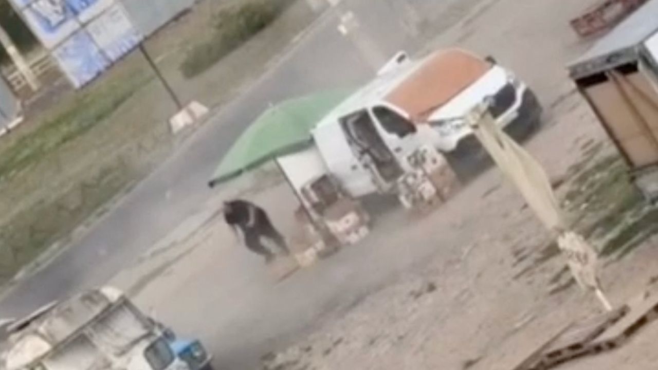 Video Drone Persegue Vendedor Antes De Explosao Na Ucrania
