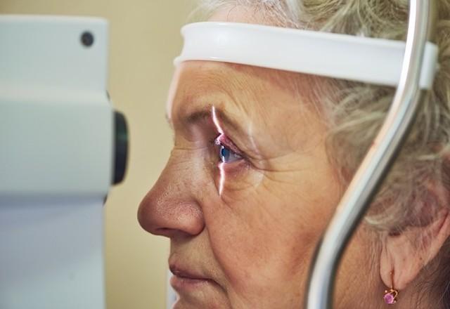 ELA muda retina