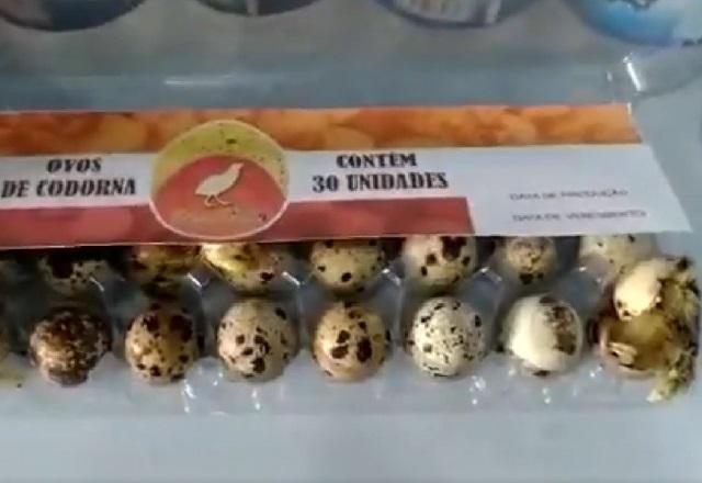 Embalagem de ovos de codorna com aves nascendo em um dos ovos
