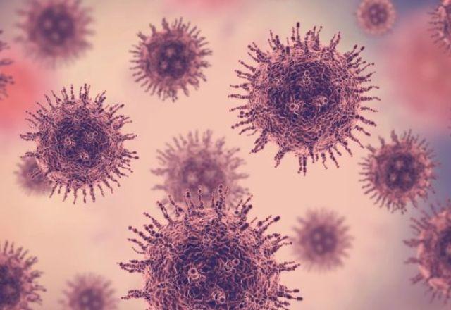 Embora existam vários tipos de Mammarenavirus descritos em diferentes países da América do Sul, o SABV é característico do Brasil | Reprodução