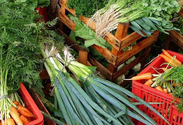 Alimentos (Divulgação/Embrapa)