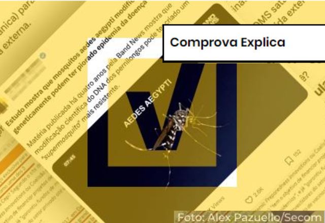 Entenda como age o mosquito da dengue geneticamente modificado | Projeto Comprova
