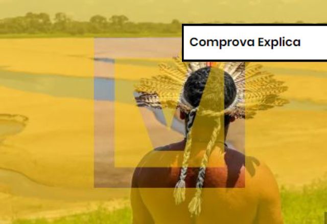 Entenda por que é consenso científico que ação humana causa mudanças climáticas | Projeto Comprova