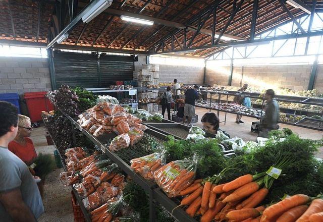 Entre os produtos que mais encareceram durante o mês estão o tomate, o repolho e a cenoura | Agência Brasil