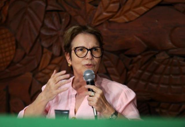A ministra Tereza Cristina, nome cogitado para disputar a Presidência da Câmara. Foto: Sandro Pereira/Fotoarena/Estadão Conteúdo
