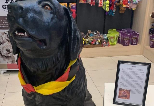 Estátua do cão farejador Bravo