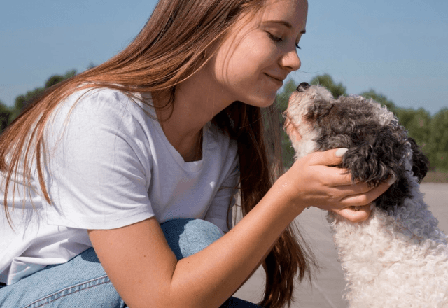 Estudo mostra a forma mais eficaz de se comunicar com o seu cão | Freepik