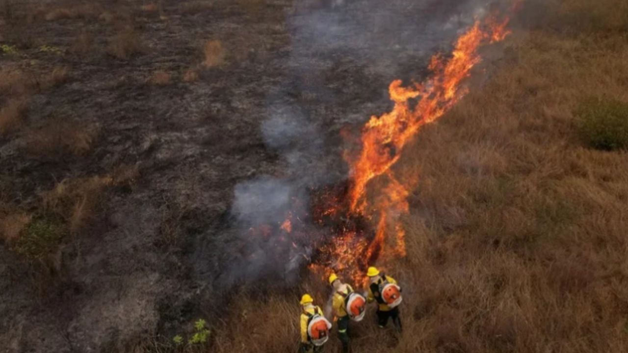 ONU alerta: El Niño deve se formar até novembro
