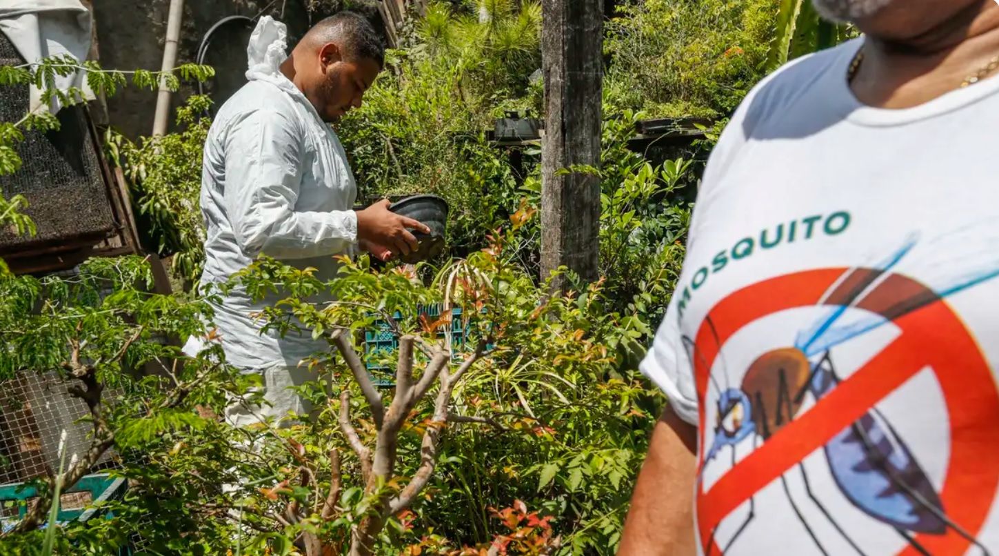 Casos prováveis de dengue em 2024 já superam todo o ano de 2023
