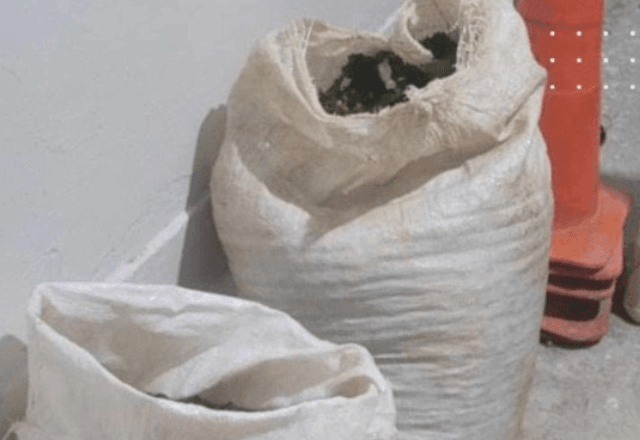 Polícia Militar recupera sacas de café que foram furtadas no Sul de Minas | Reprodução/ PMMG