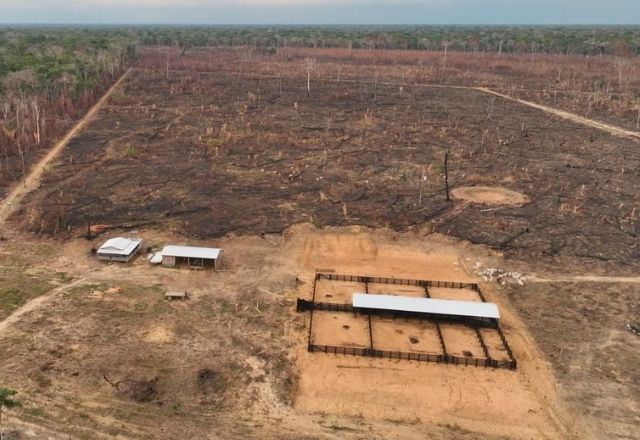 PF bloqueia R$ 138 milhões de esquema suspeito de queimadas e desmatamentos na Amazônia | Reprodução