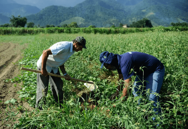 Iniciativa deve beneficiar agricultores familiares, pequenos e médios produtores endividados | Divulgação/Tomaz Silva/Agência Brasil